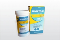 AMOXYGAL 510 mg/g powder for oral solution